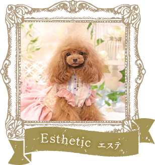 Esthetic