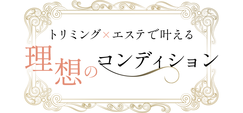 トリミング×エステで叶える理想のコンディション