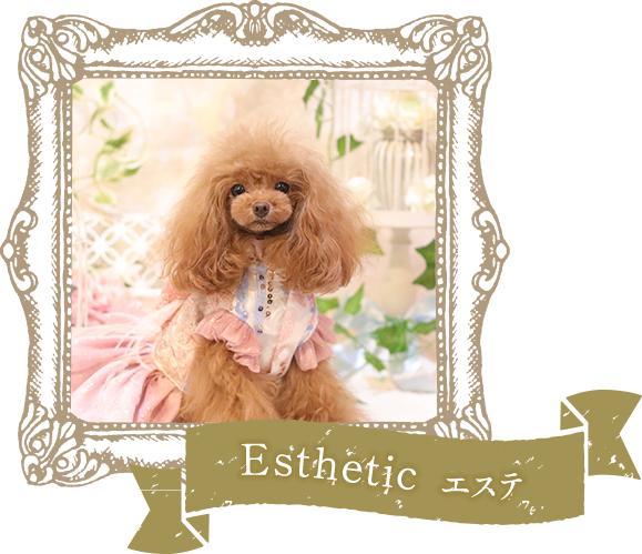 Esthetic